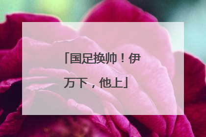 国足换帅！伊万下，他上